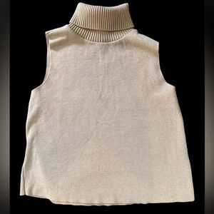Zara Ribbed Knit Turtleneck in Tan